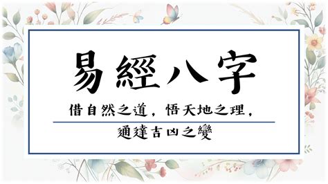 八字課程|易經八字基礎架構學程【2024年11